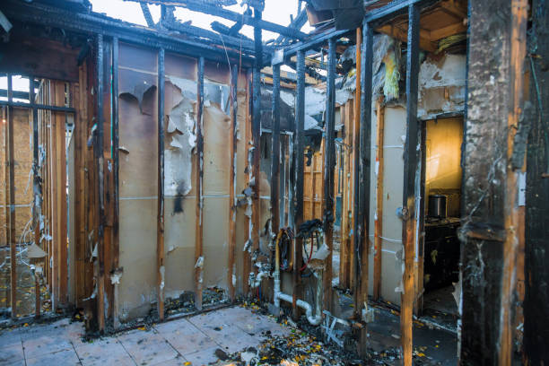 Professional Fire Damage Assessment technician working in Glyndon, MN